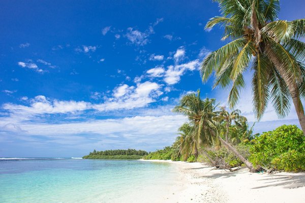 Louez astucieusement en ville : trouvez l'appartement de luxe ou économique idéal – explorez vos meilleures alternatives urbaines